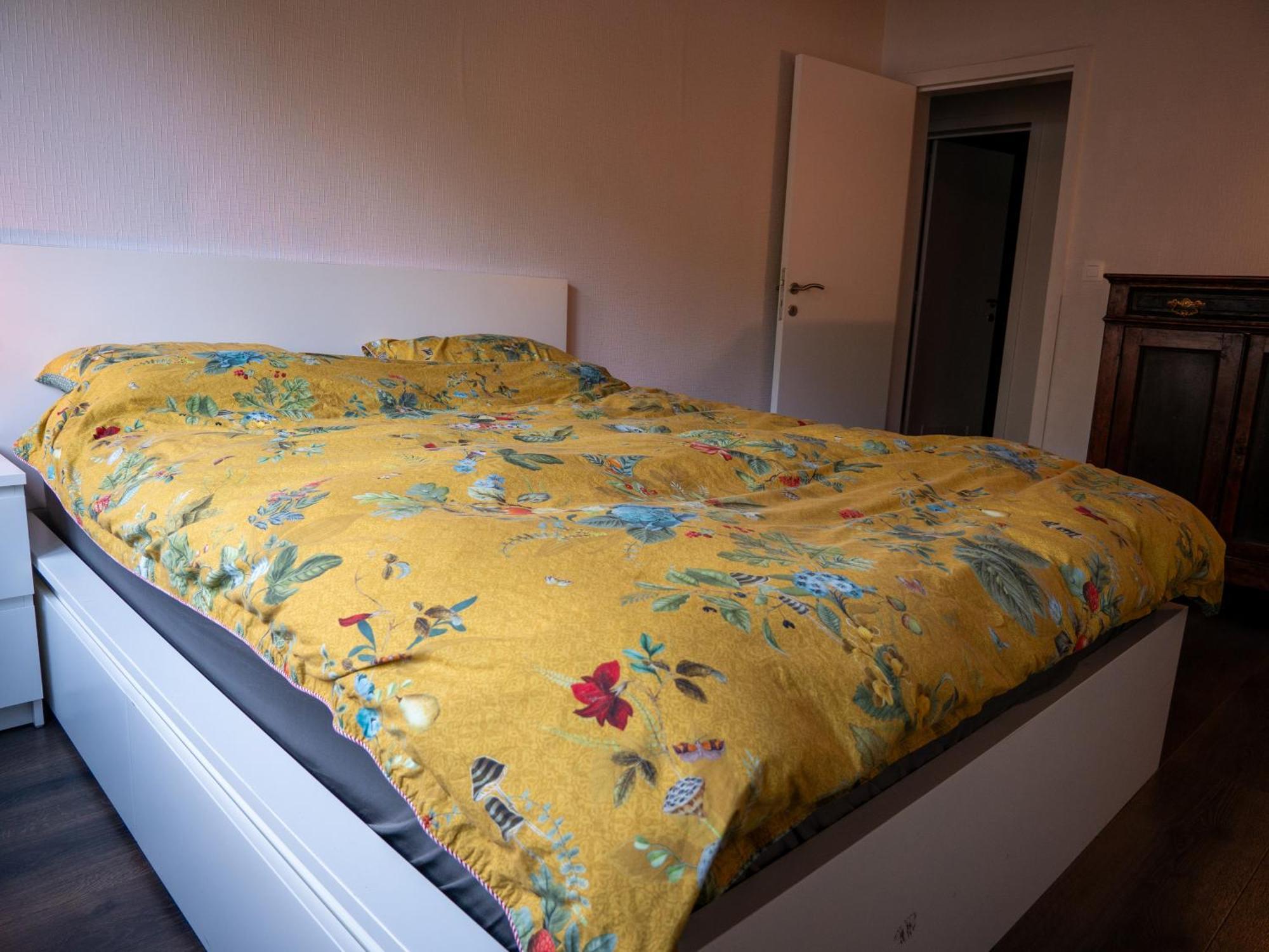 Gezelligheid In Het Stadscentrum Van Mechelen Apartment ภายนอก รูปภาพ
